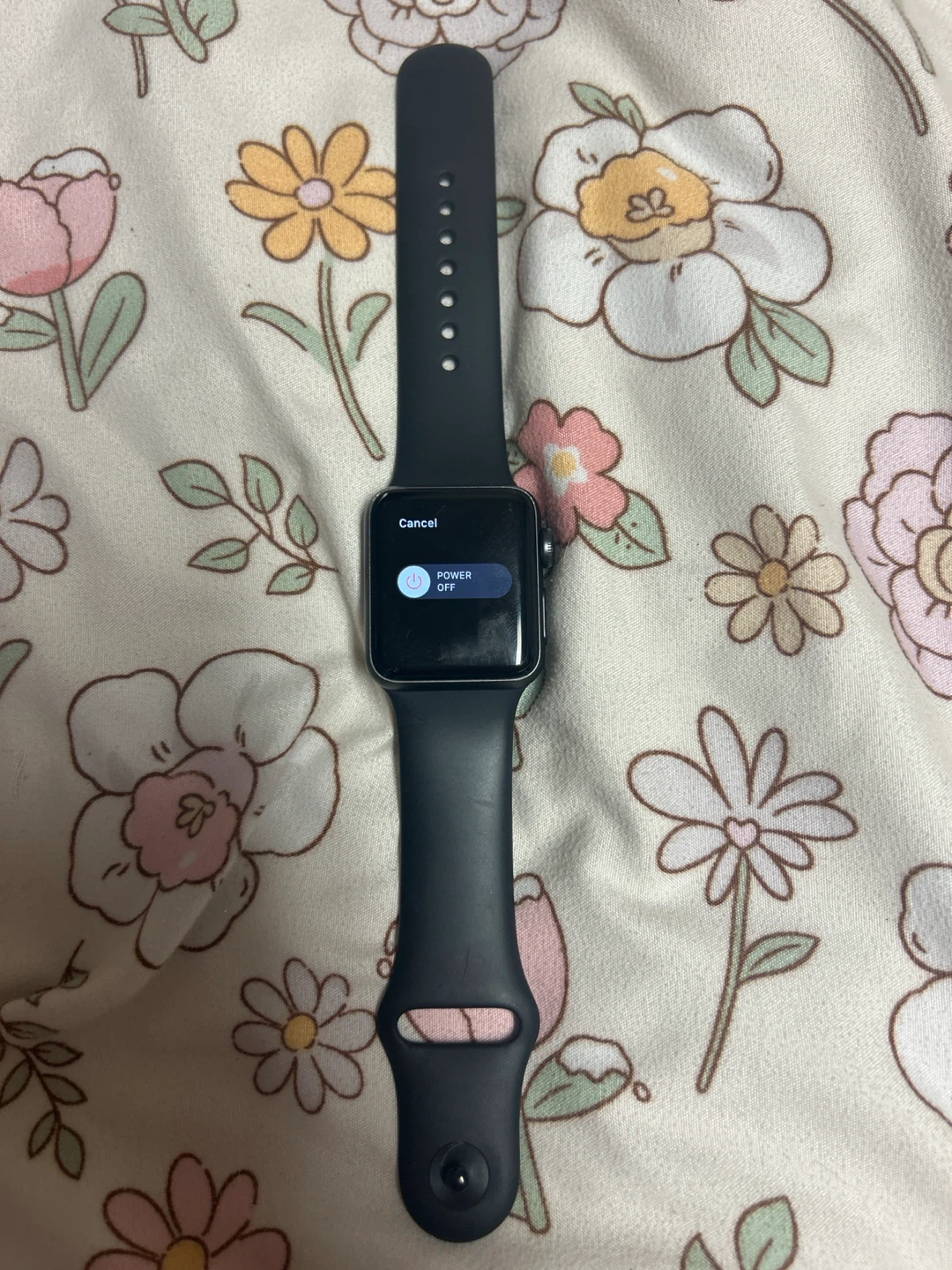 Apple Watch Series 3 - photo 2