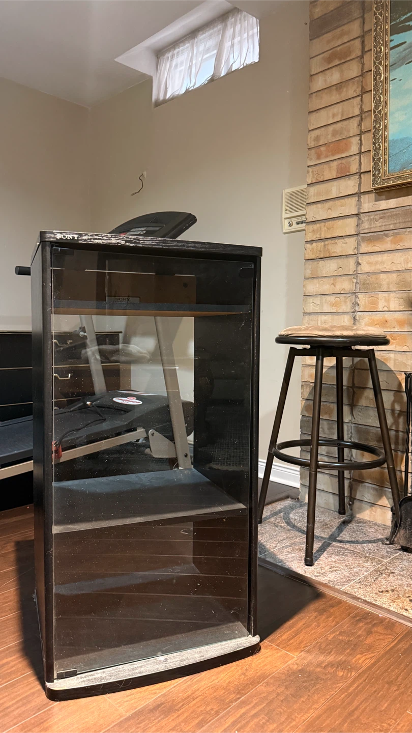 Sony Audio Rack with Glass door