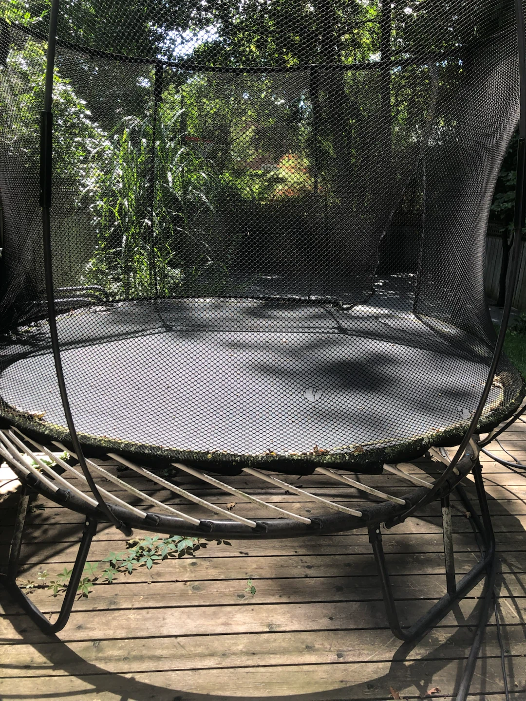 Trampoline - photo 2