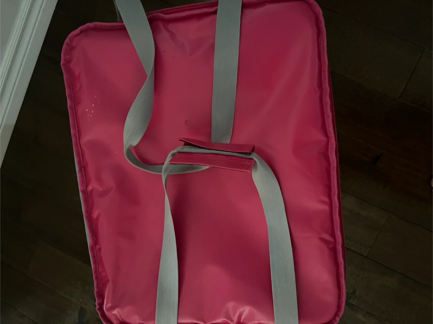 Foodora Insulated Delivery Bag - Pink - photo 4