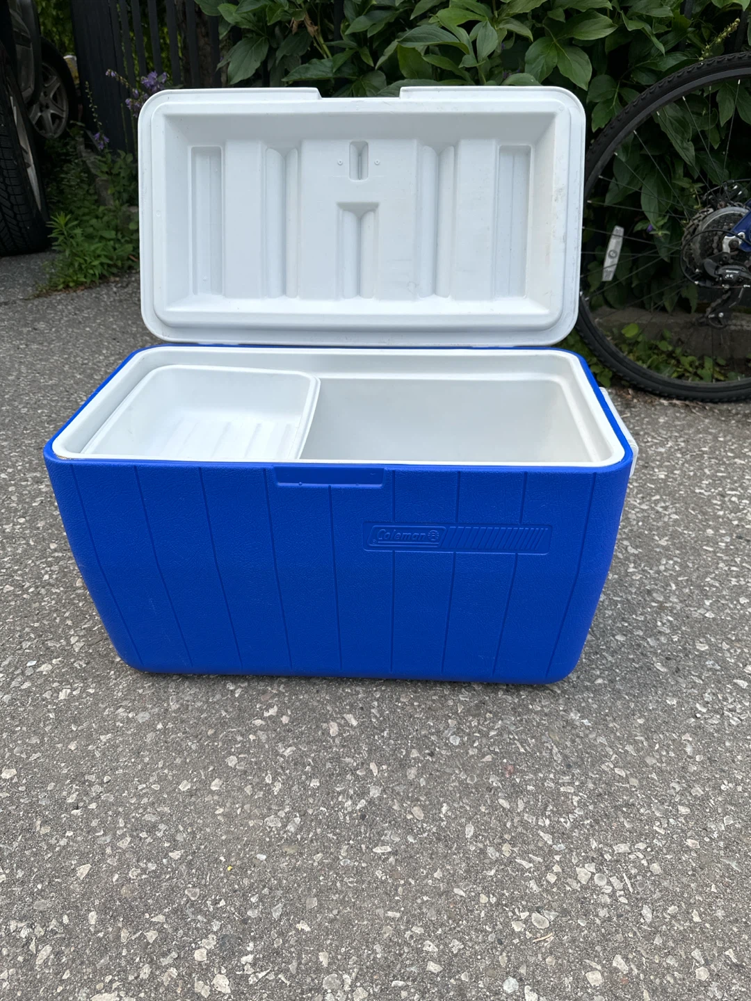 Coleman Cooler Blue