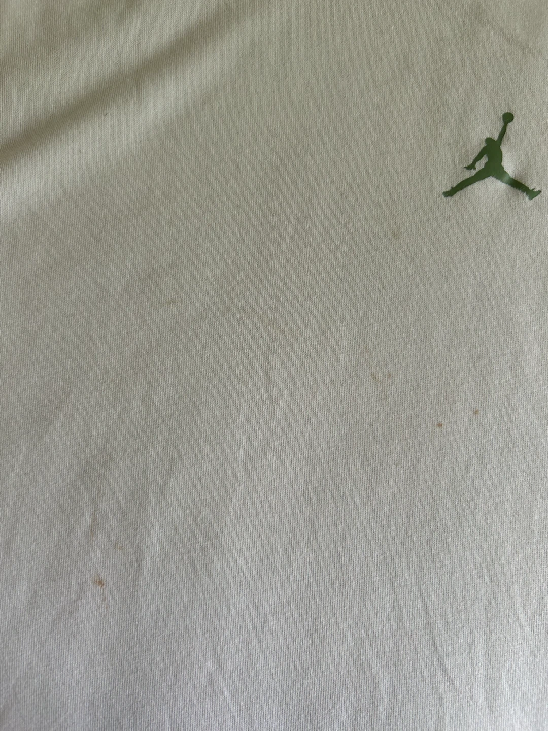 AIR Jordan Loose Fit T-Shirt - photo 4