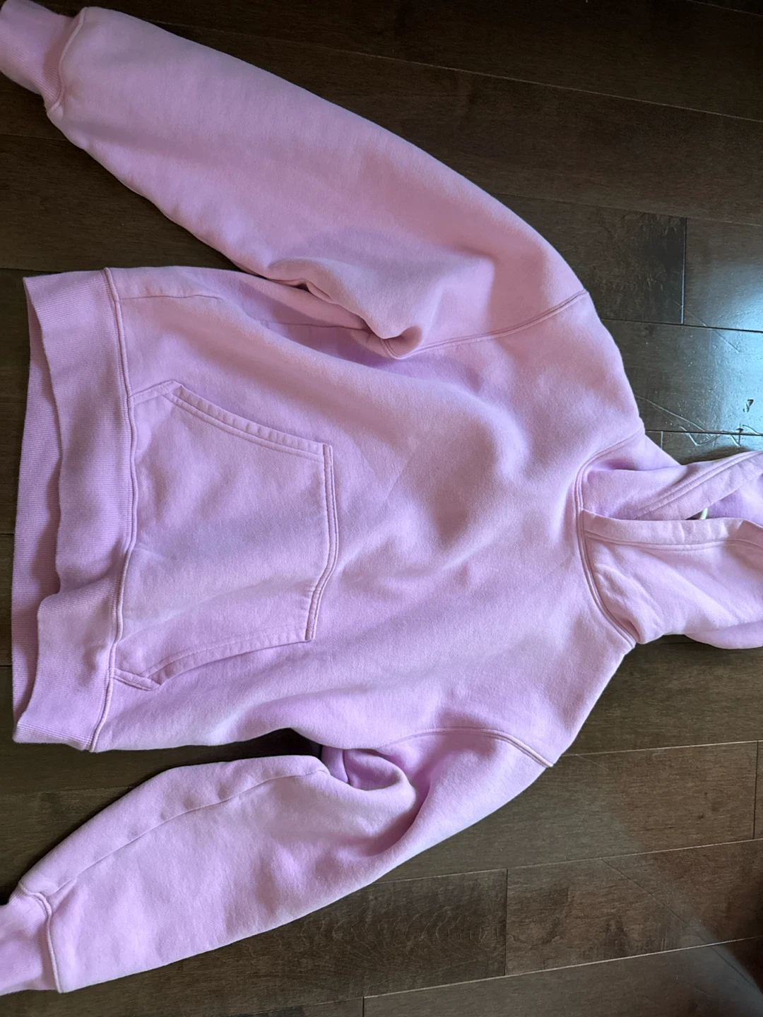 Aritzia "Perfect Fit" Hoodie