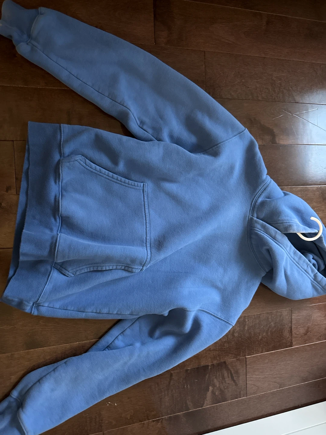 Aritzia Sweatfleece Hoodie