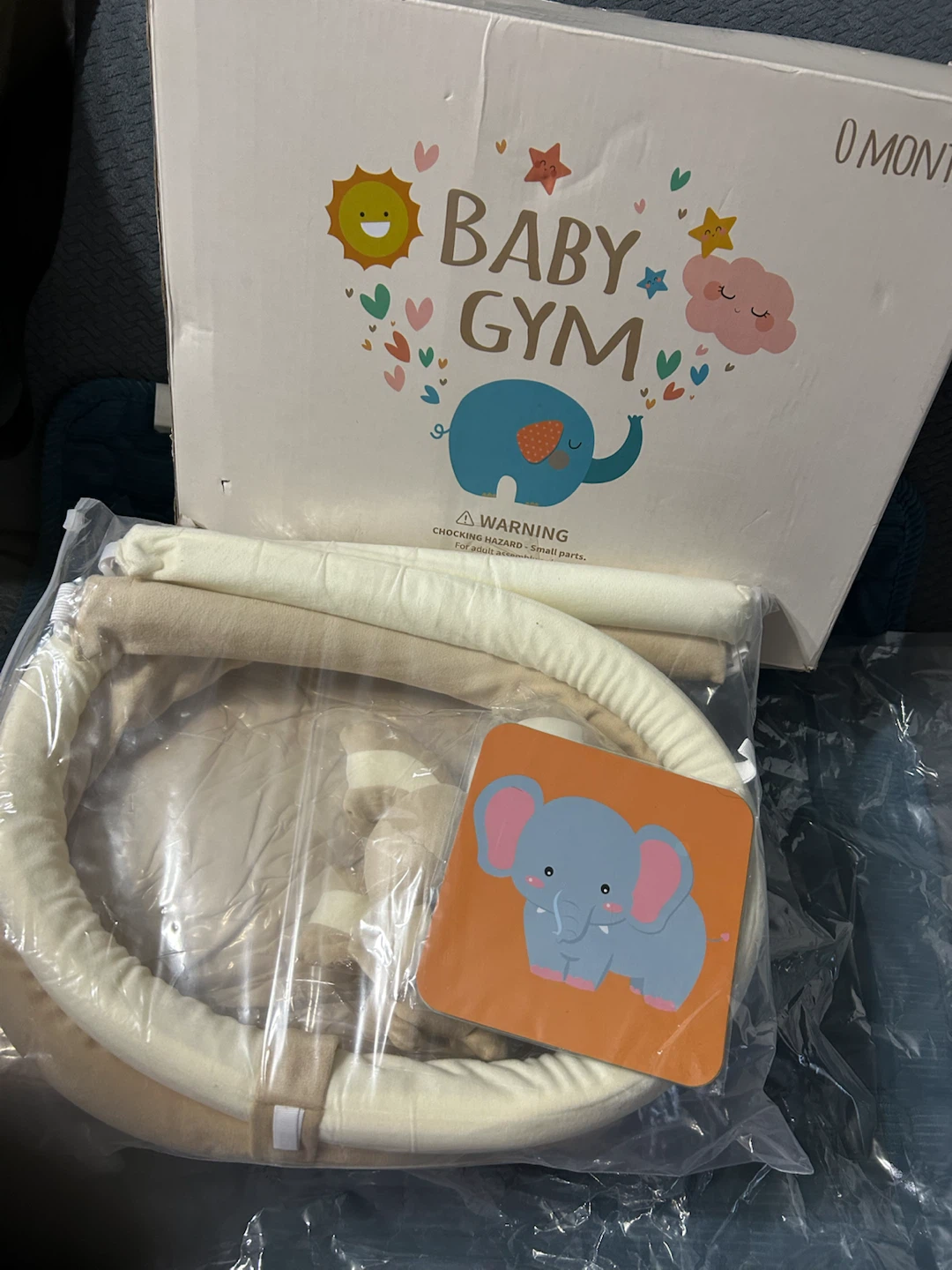 Brand New-Baby Gym Play Mat - photo 4