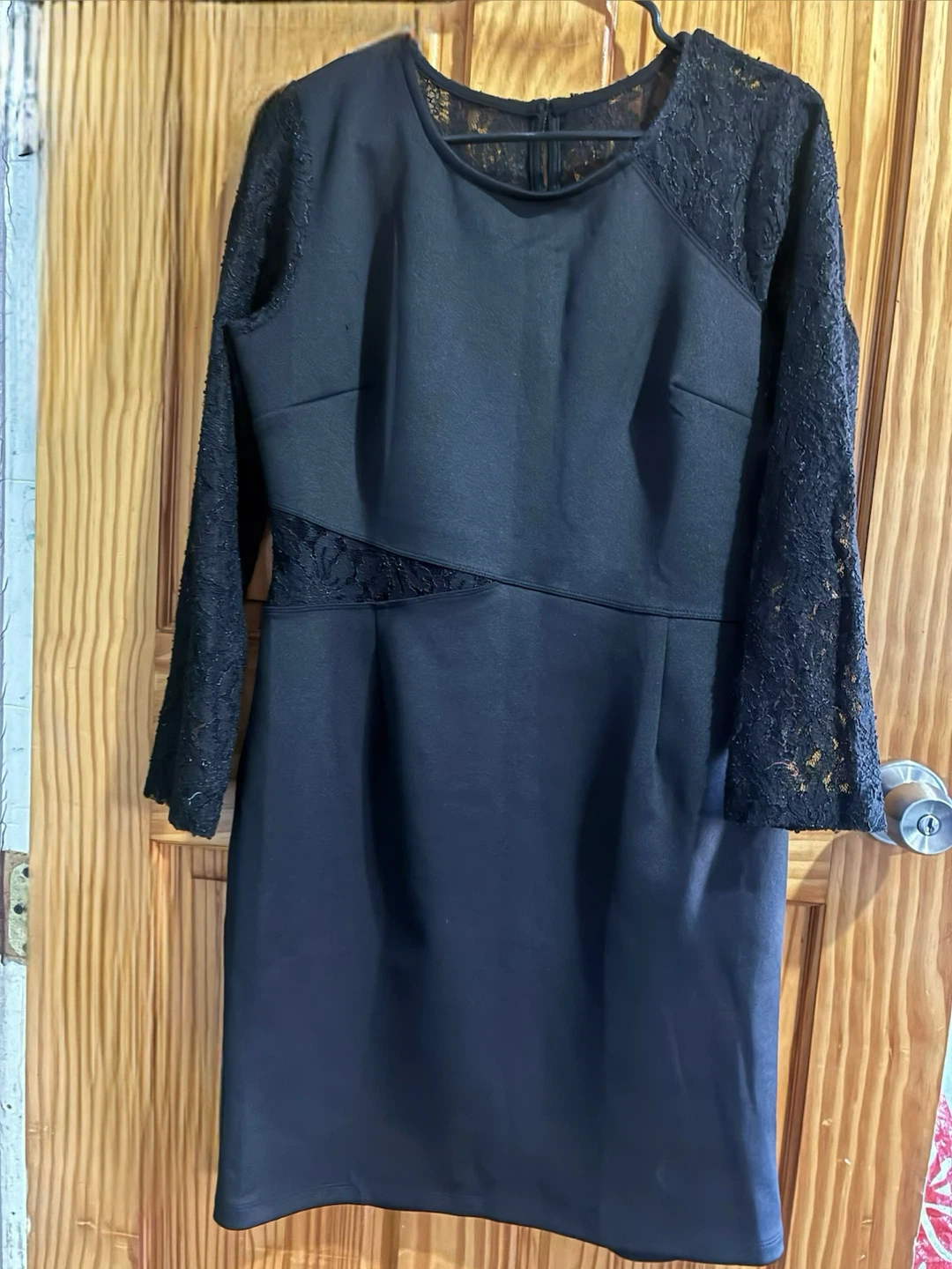 Black Lace Sleeve Dress