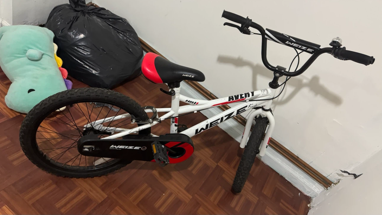 WEIZE Kids Avery Bicycle