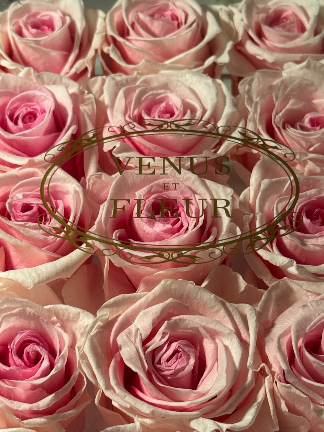 Venus et Fleur Large Rose Box - photo 3
