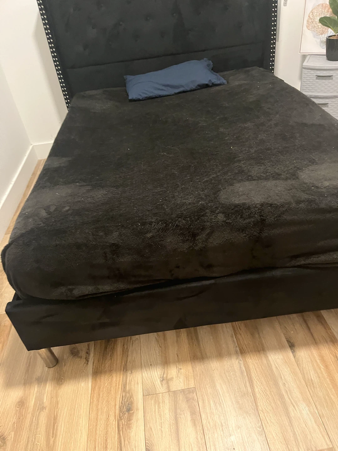 Black Upholstered Wingback Bed Frame - photo 3