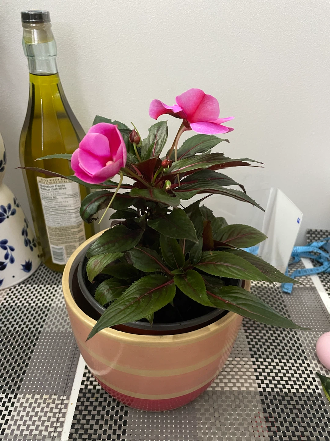 Impatiens plant with pink flowers