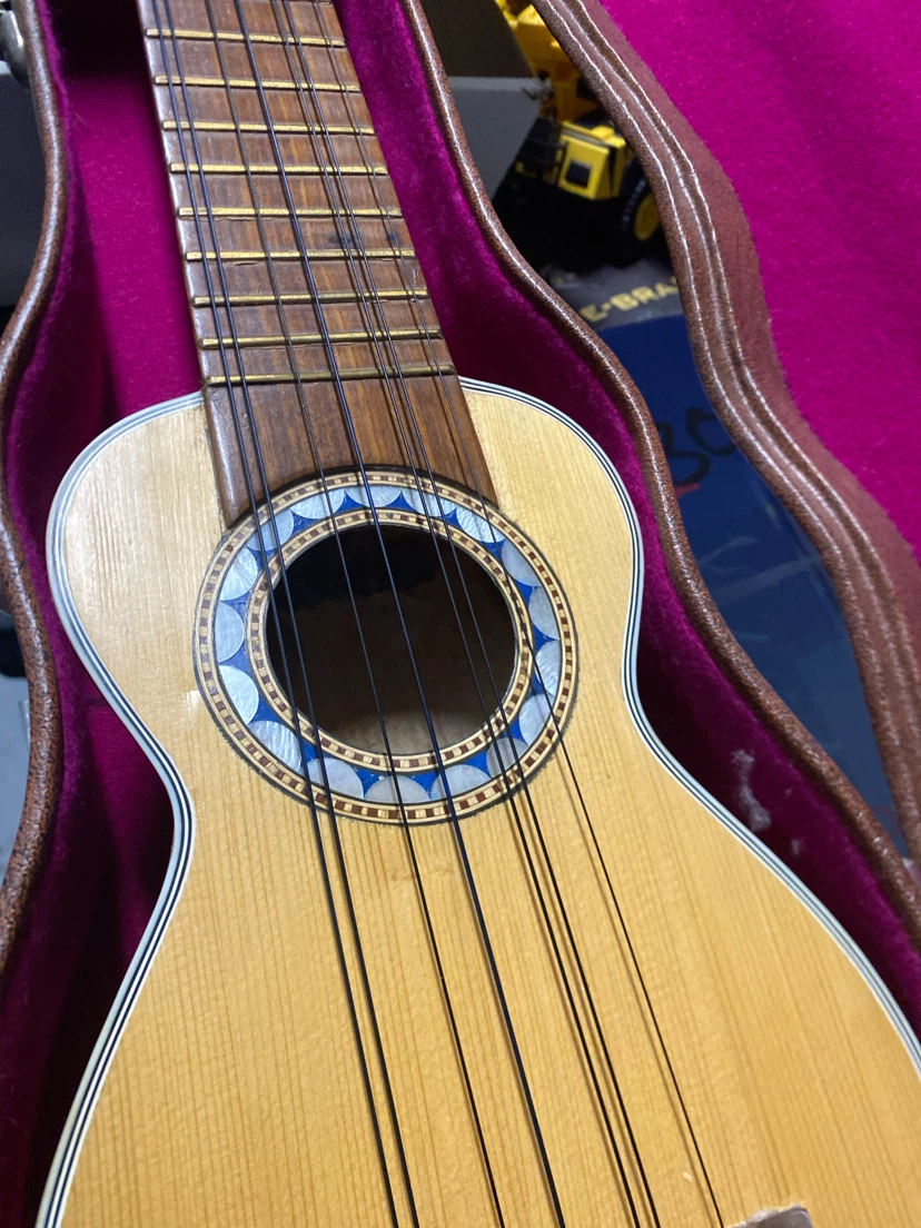 10-String Folk Guitar with Case