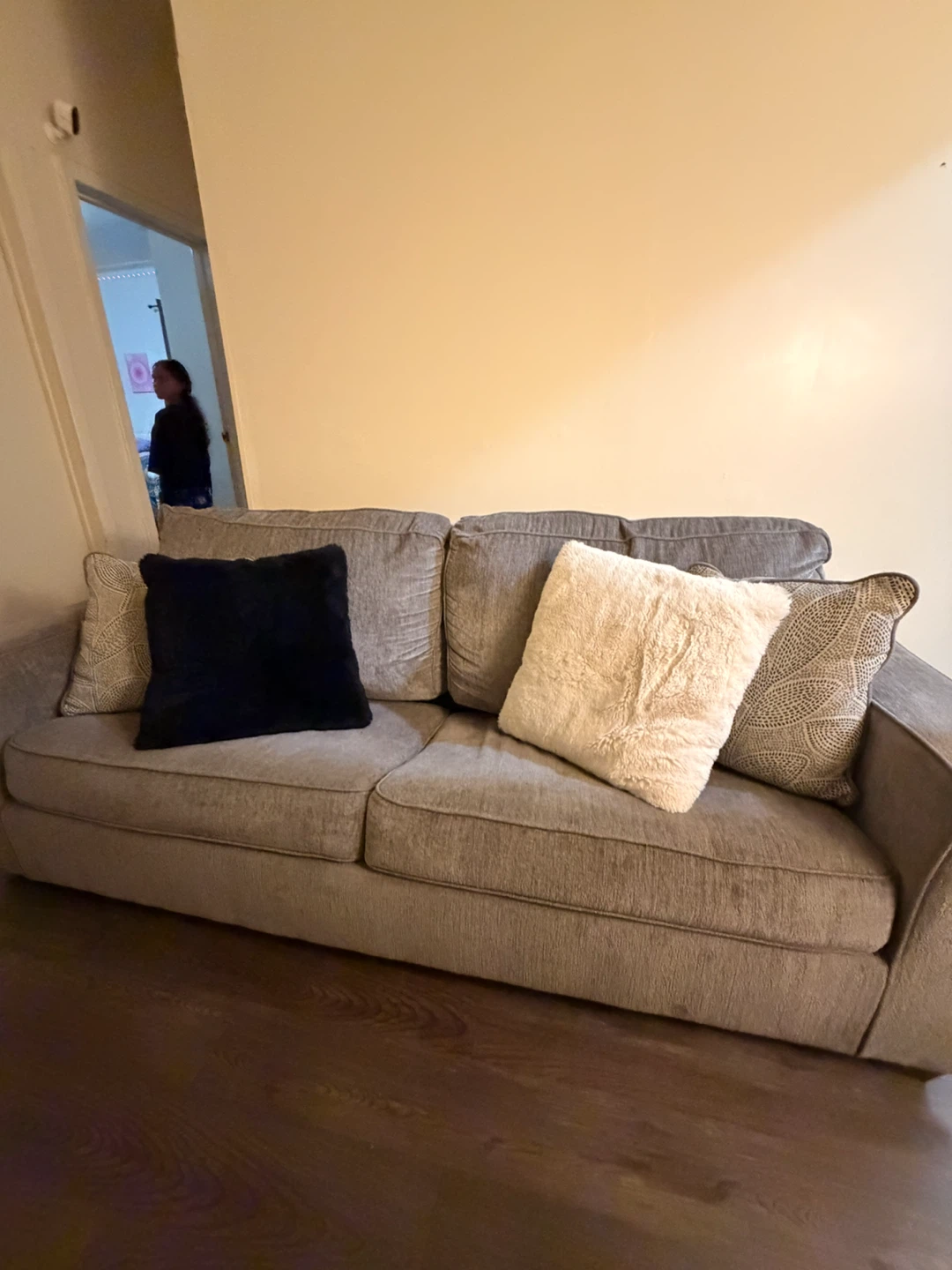 Gray Sofa bed with Decorative Pillows