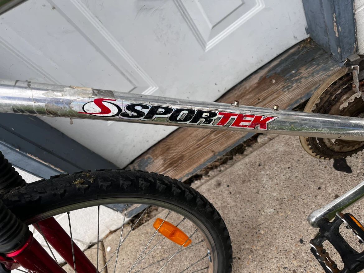 Adult bike