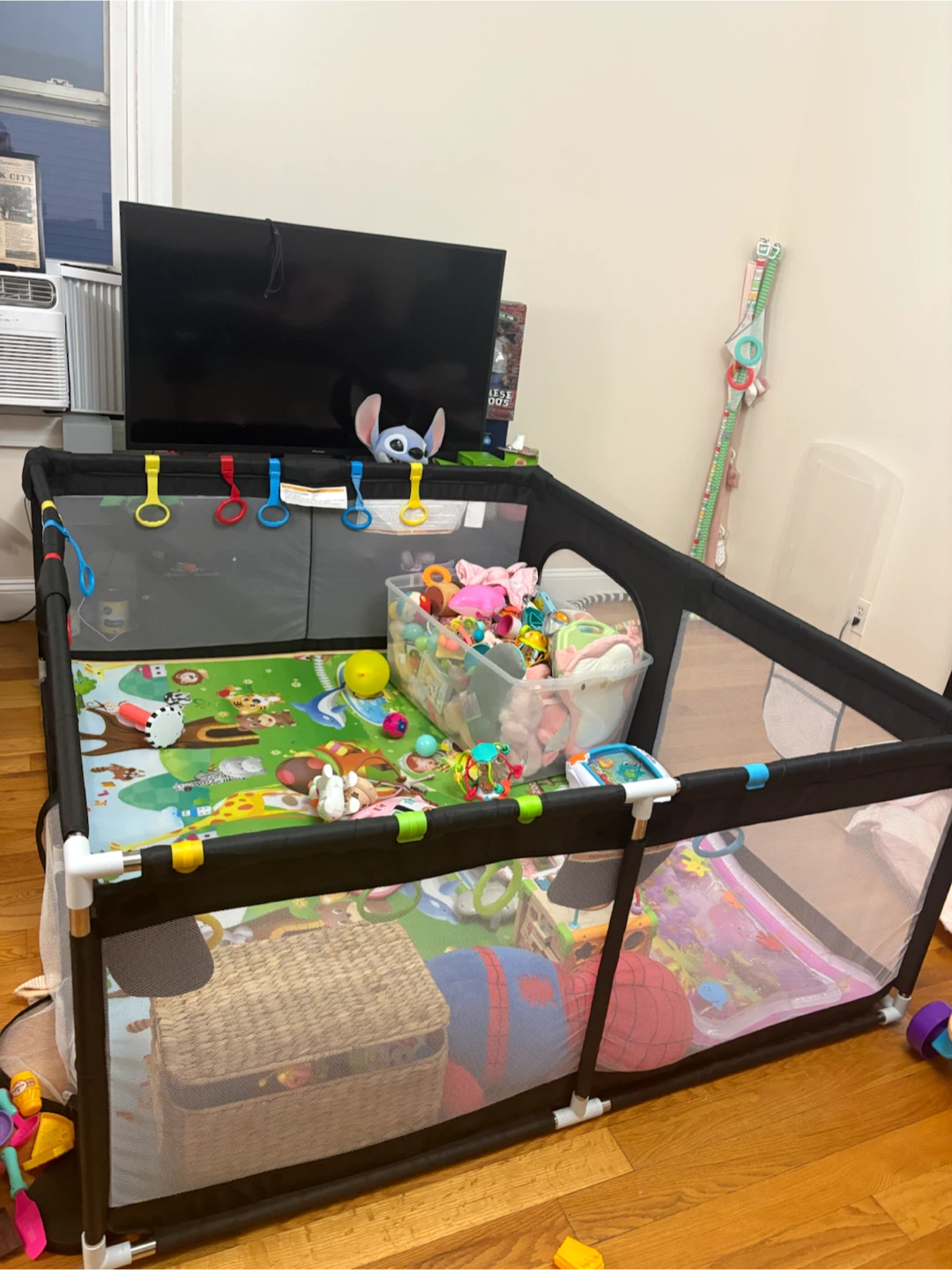 Black Playpen