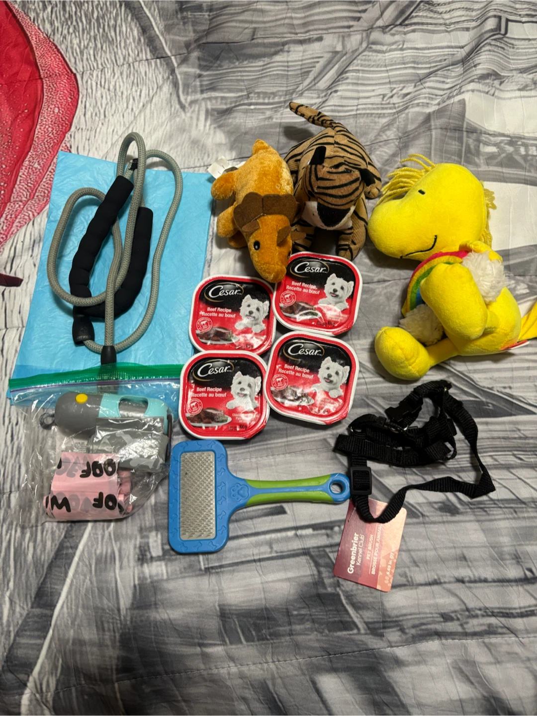 Items for small dog
