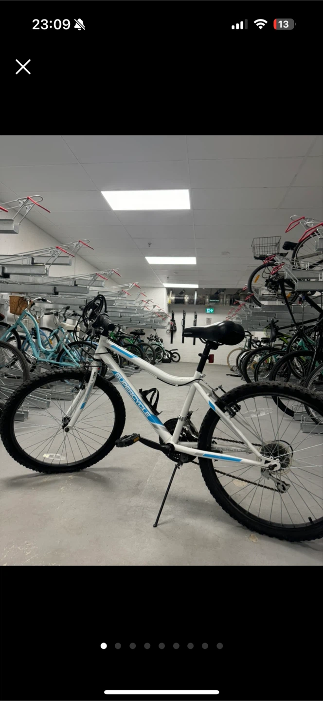 Supercycle White Mountain Bike