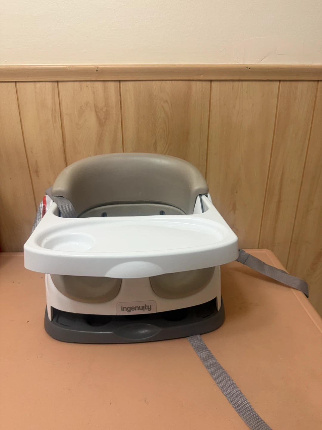Ingenuity Baby Booster Seat with Tray