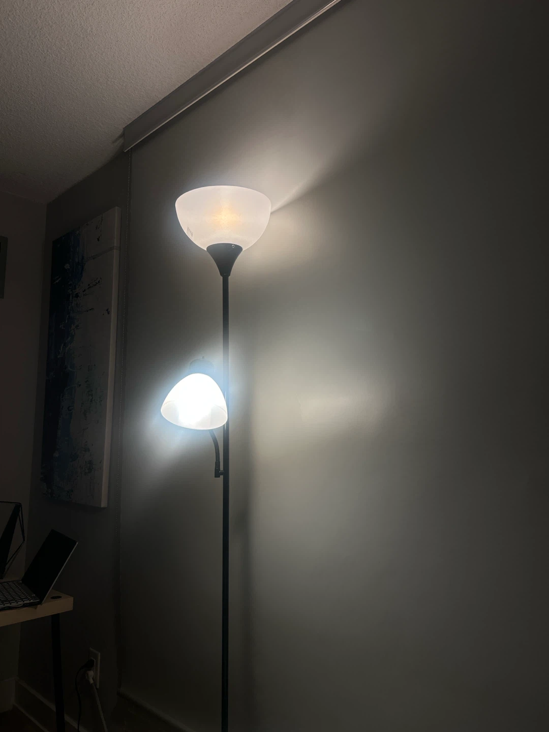 Floor Lamp with Two Lights - photo 2