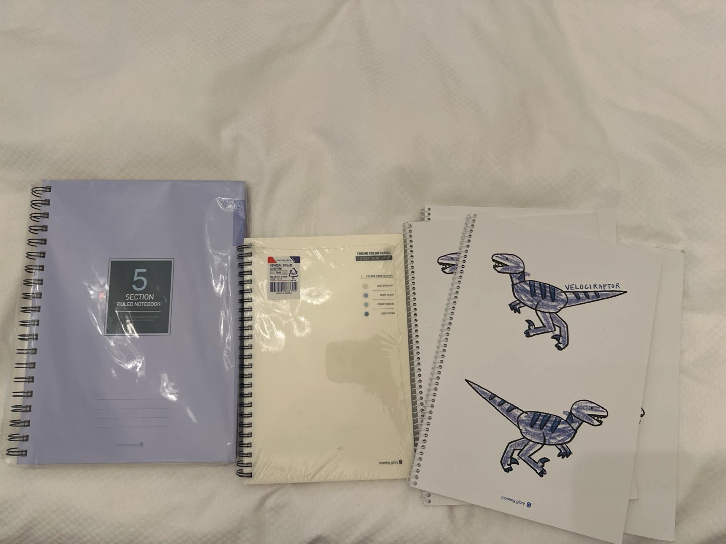 🇰🇷 Notebooks