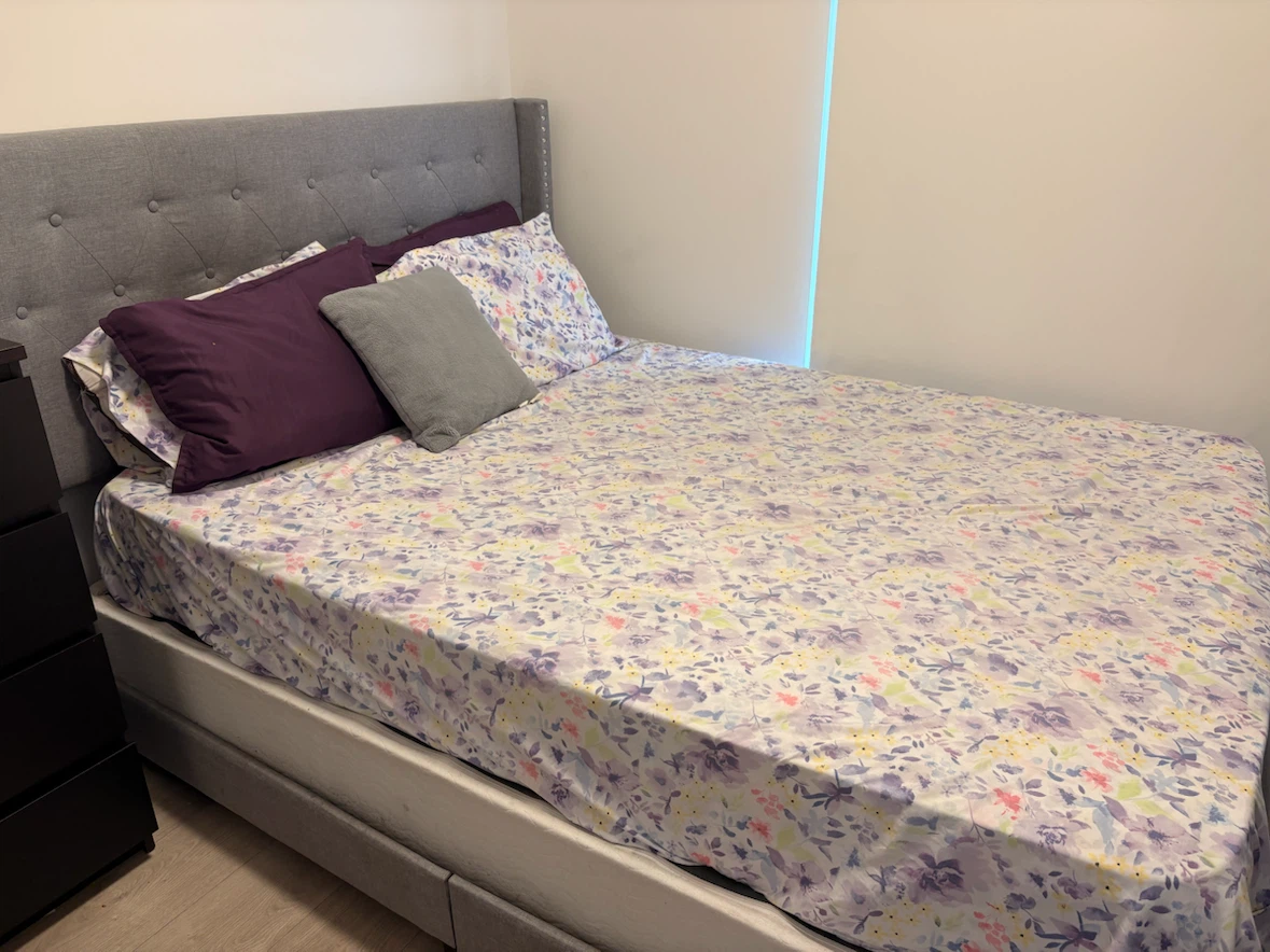 Queen Bed Frame/ Mattress/Box Spring