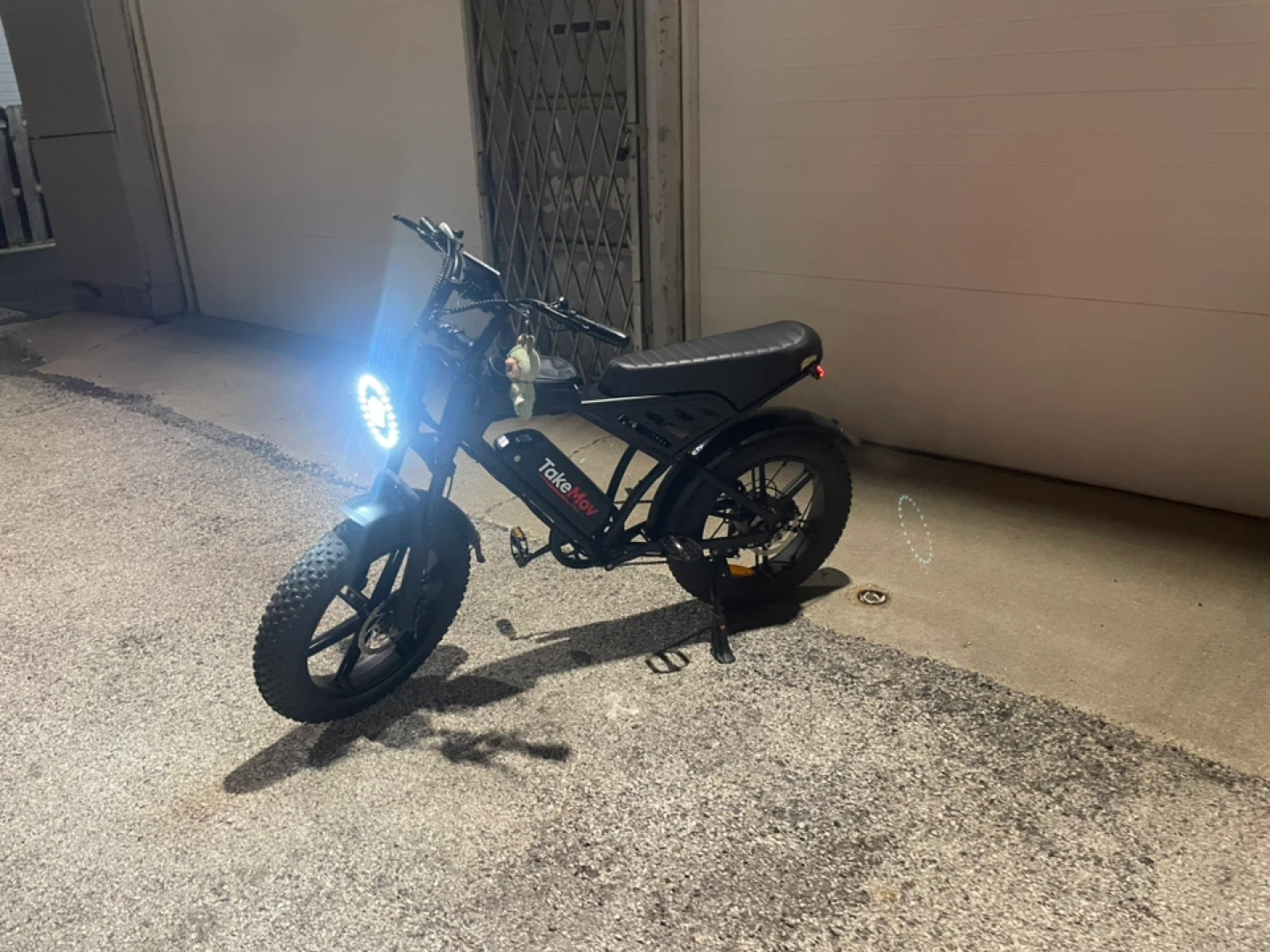 TakeMov Electric Bike