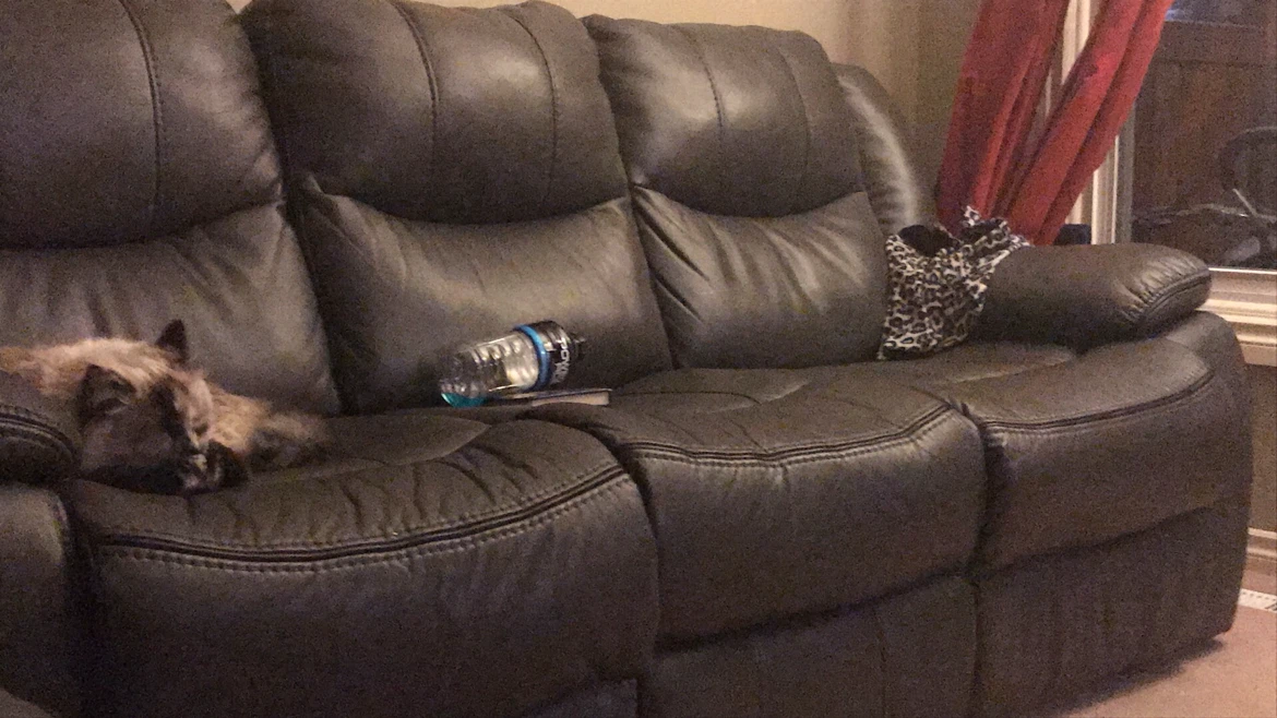 2 Dark Brown Leather Reclining Sofa