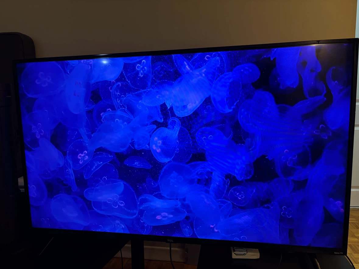 TCL TV