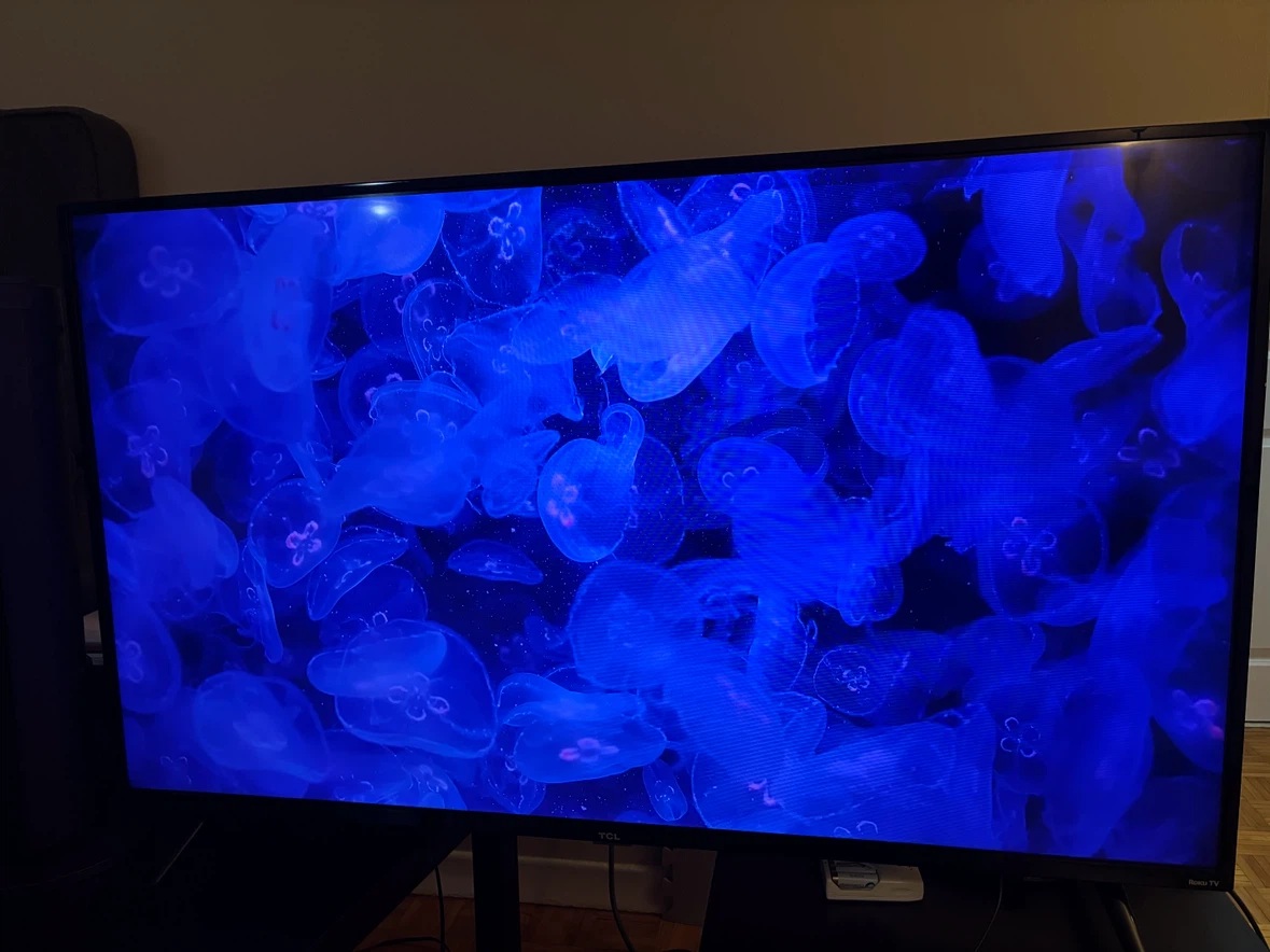 TCL TV - photo 2
