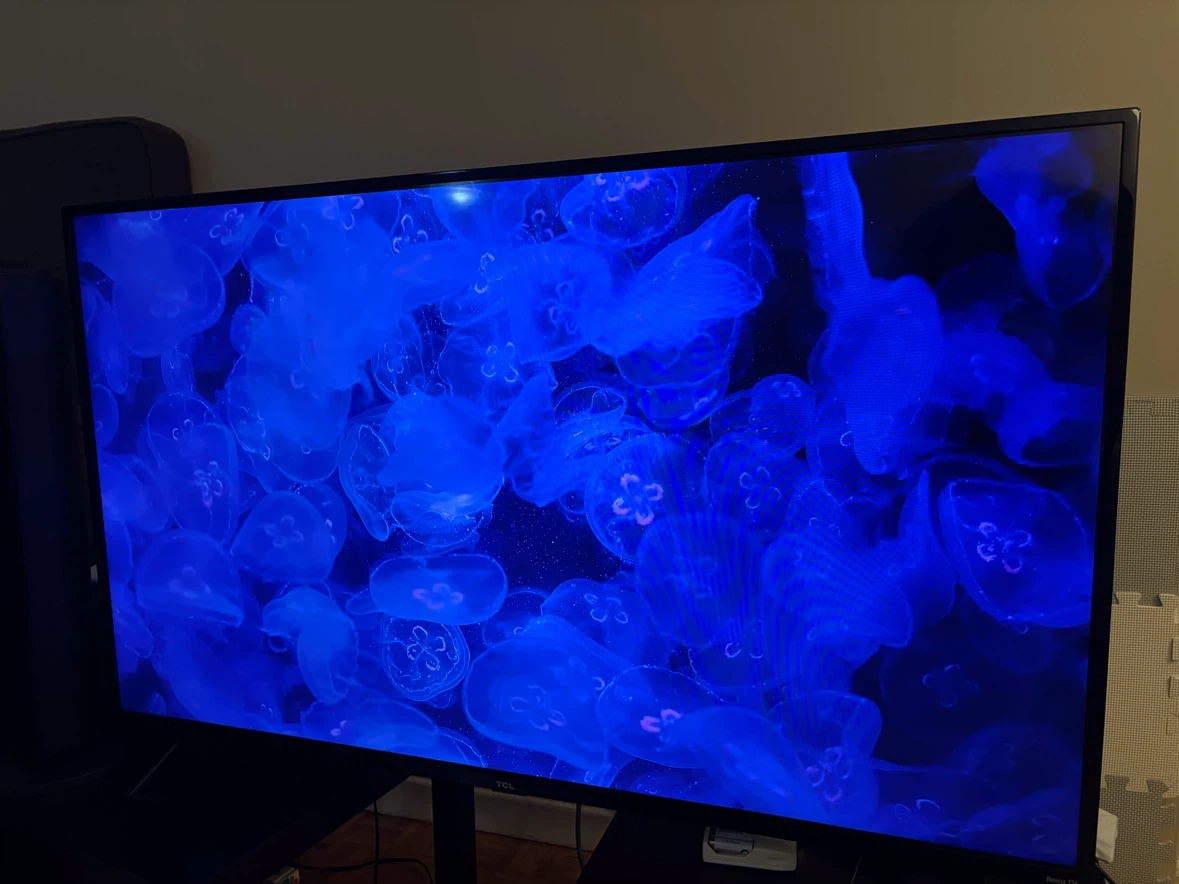 TCL TV - photo 3