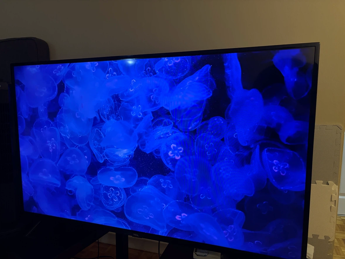 TCL TV - photo 4