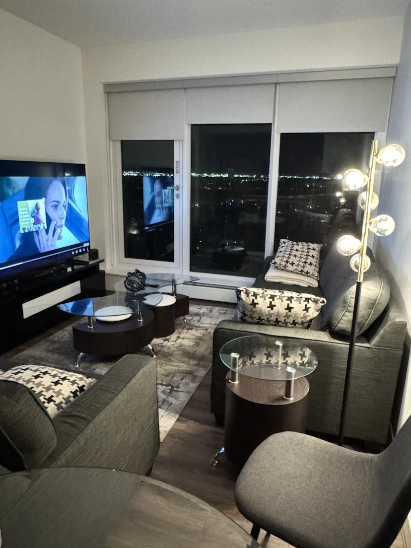 Dark Grey Sofa and Loveseat (Only the 3 seater is for SALE)