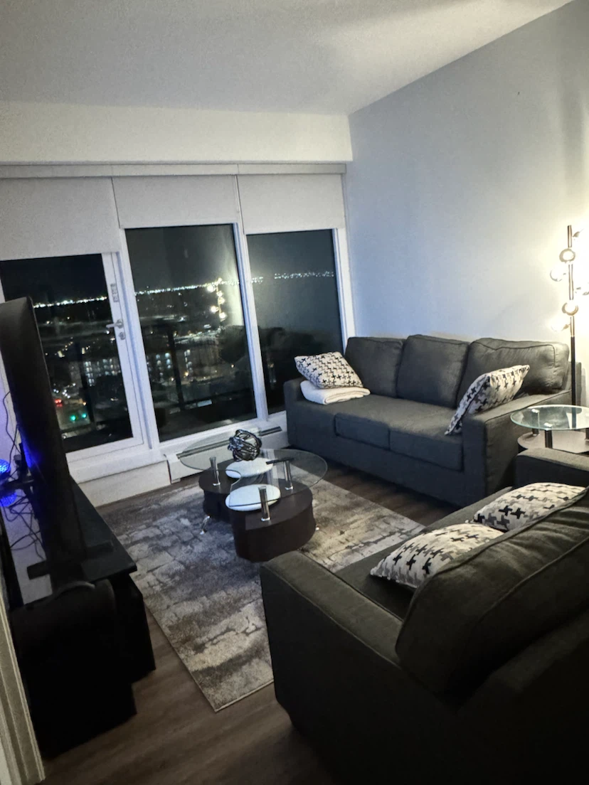 Dark Grey Sofa and Loveseat (Only the 3 seater is for SALE) - photo 2