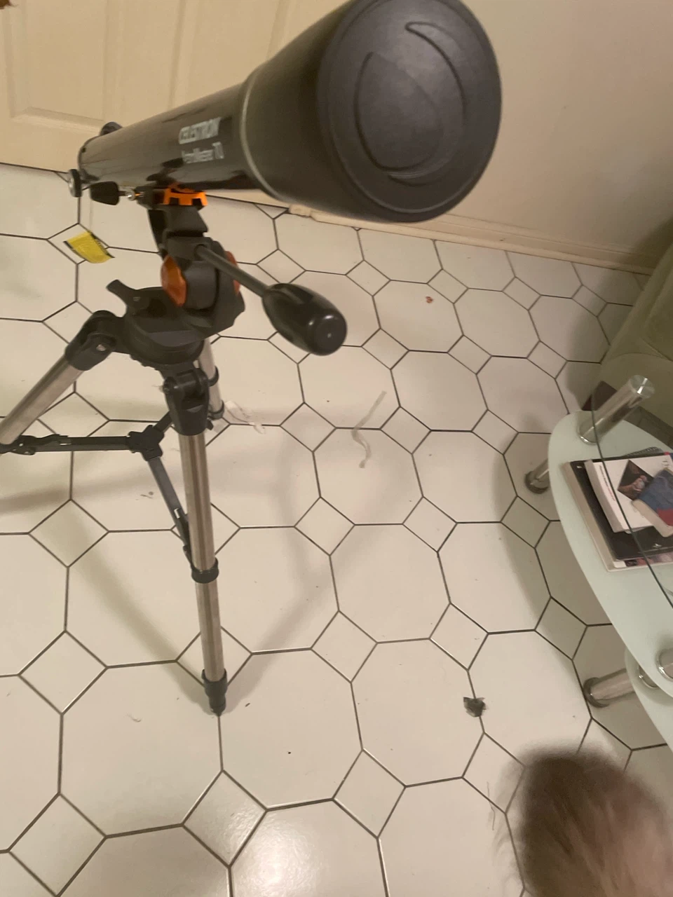 Celestron AstroMaster 70 Telescope with Tripod - photo 2