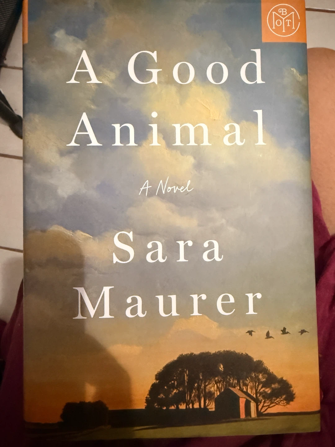 A Good Animal by Sara Maurer Novel