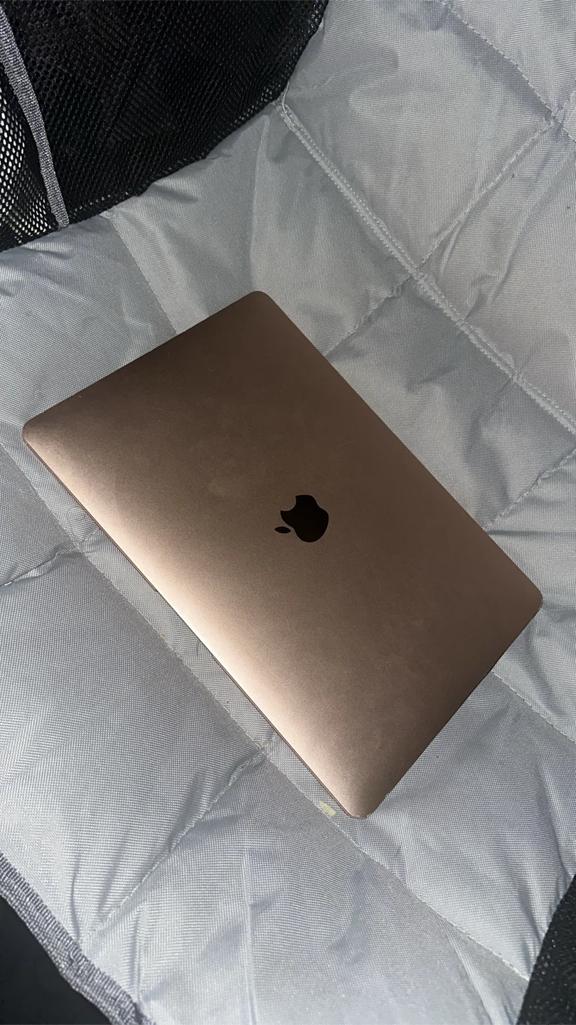 MacBook Air M1, 2020 w/ bt mouse