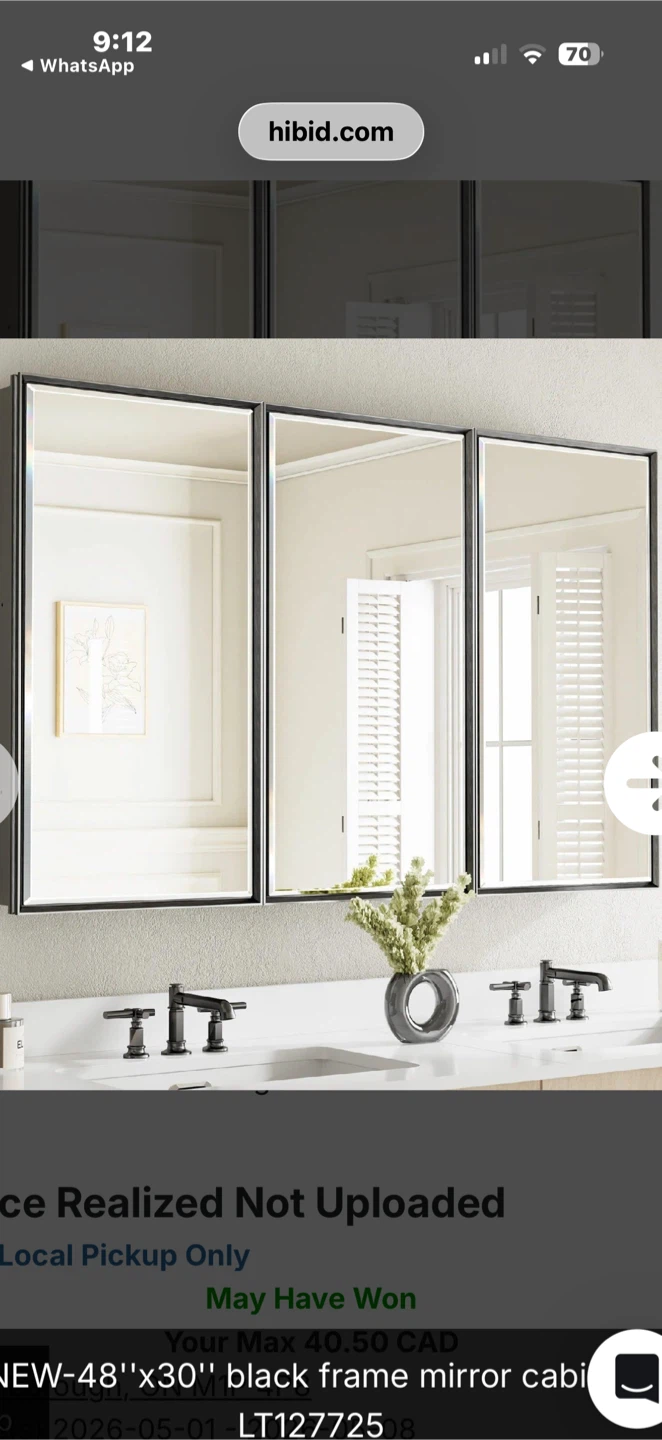 NEW 48"x30" Black Frame Mirror Cabinet - photo 4