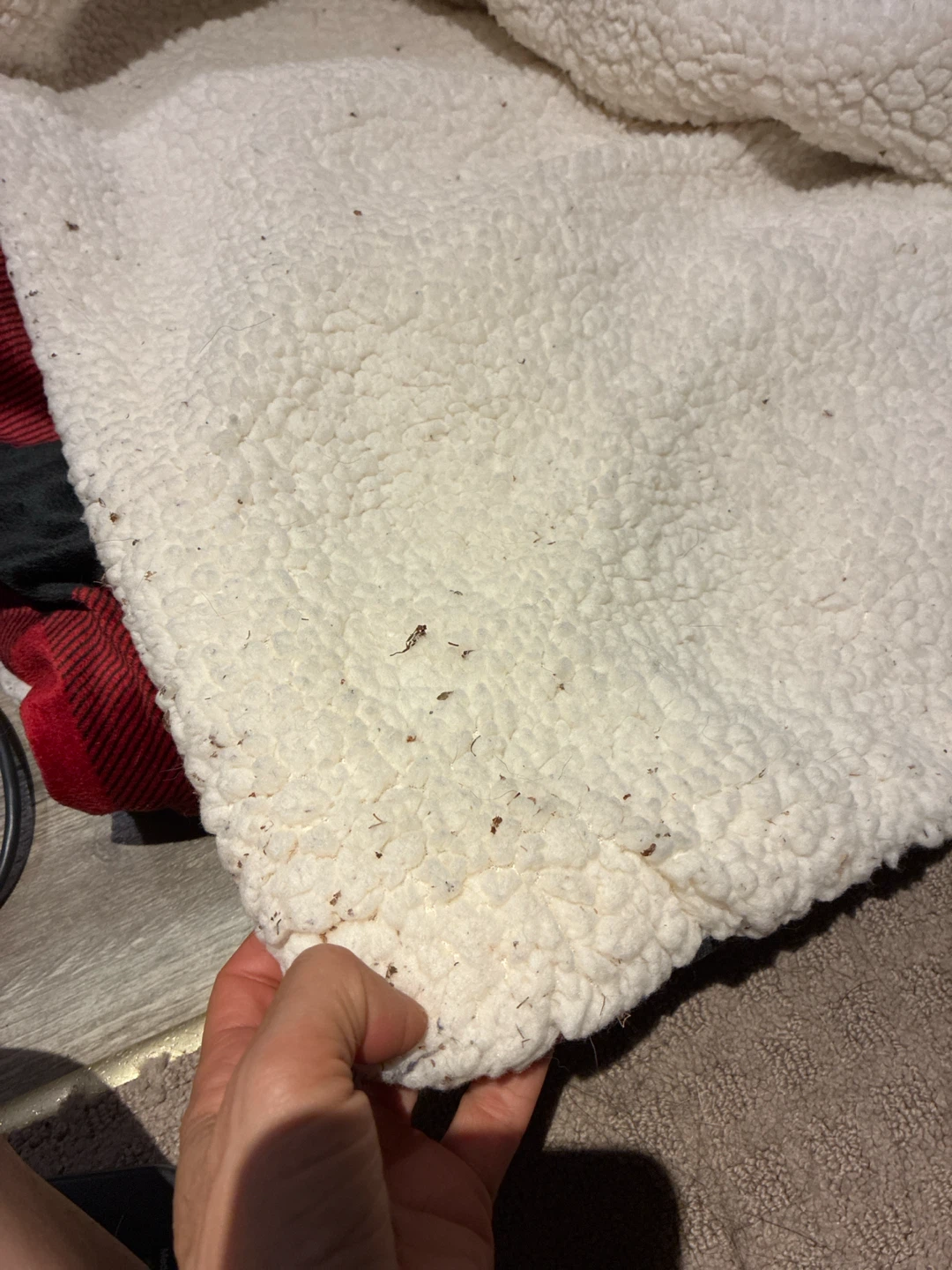 Sunbeam Heated Electric Blanket - photo 2