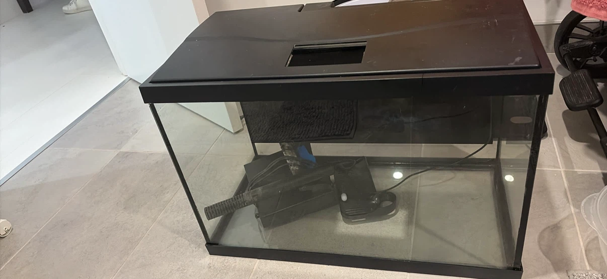 20 gallon fish tank