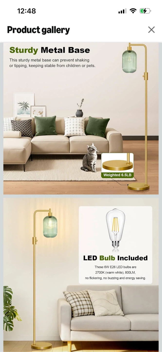 Brand New-Dimmable Glass Floor Lamp with LED Bulb Included - photo 4