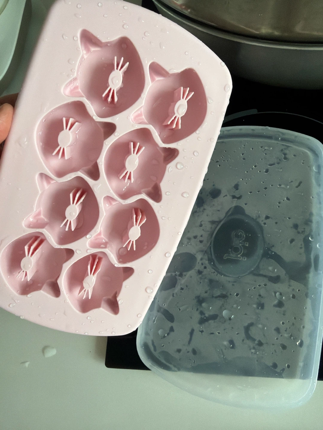 Pink Cat Head Ice Cube Tray with Lid