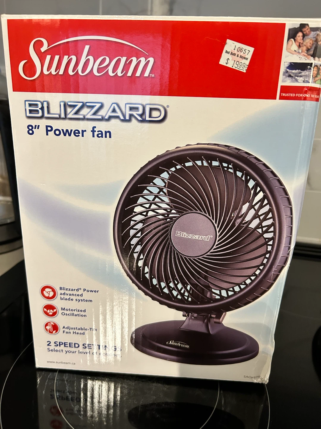 Blizzard 8" Power Fan - Sunbeam