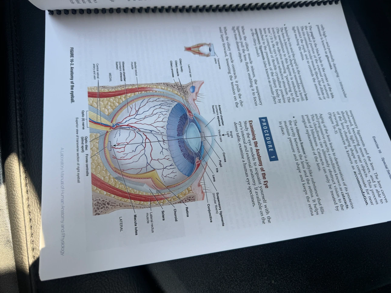 A Laboratory Manual of Human Anatomy and Physiology Vol 1 - photo 4