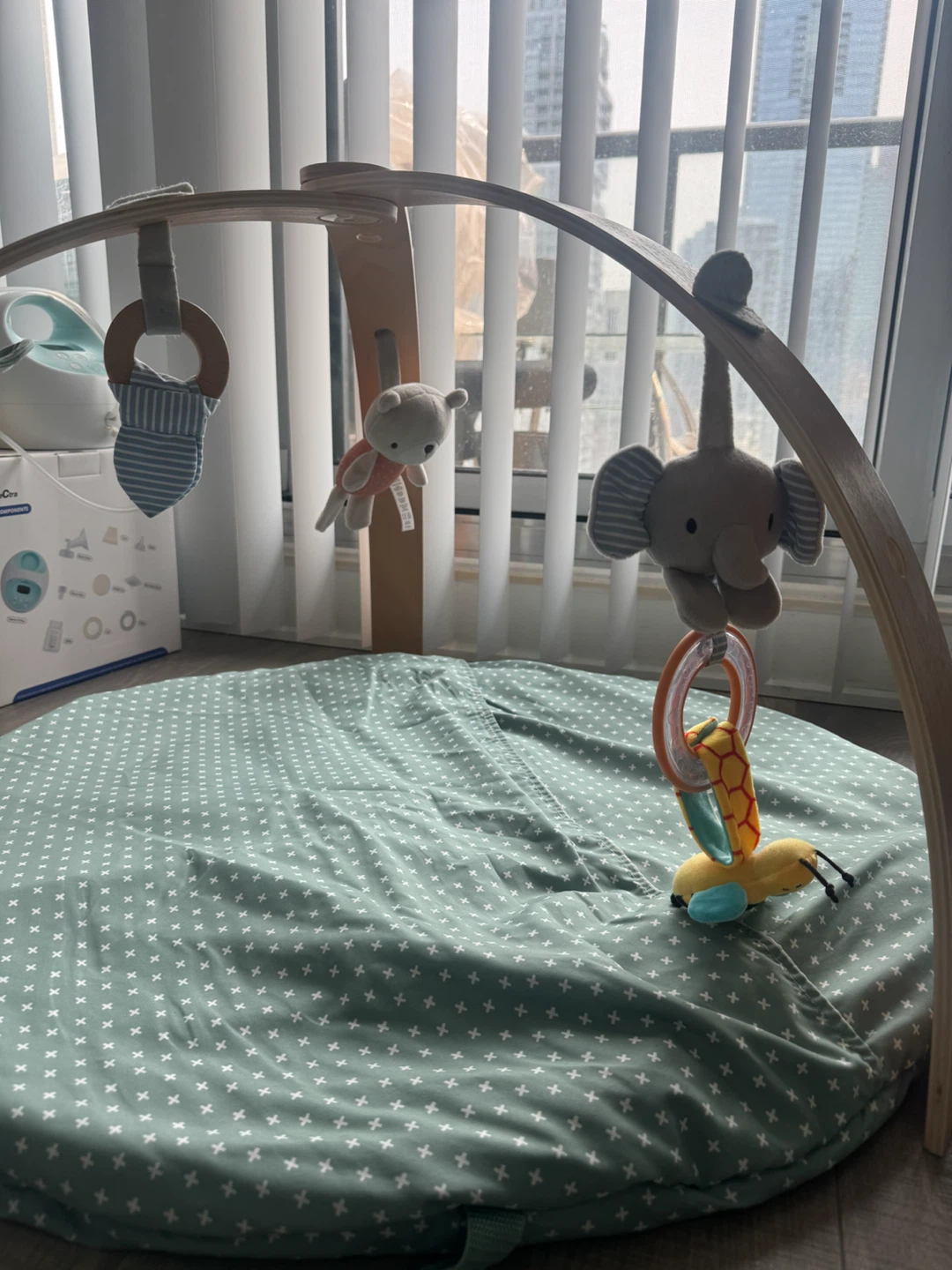Wooden Baby Play Gym with Mat