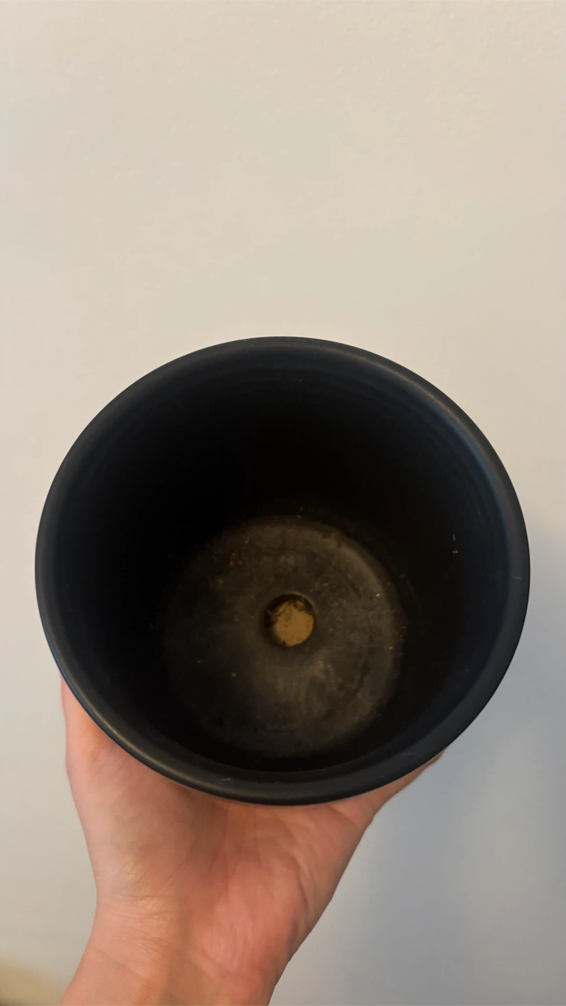 Plant pot - photo 2