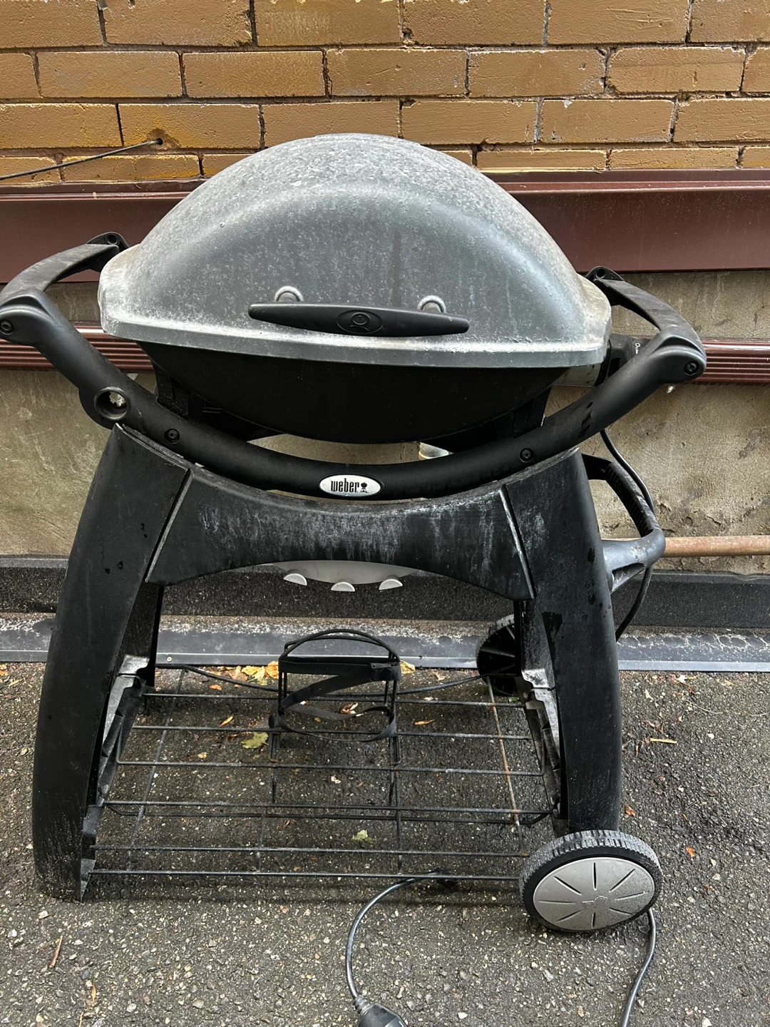 Weber Portable Electric Grill