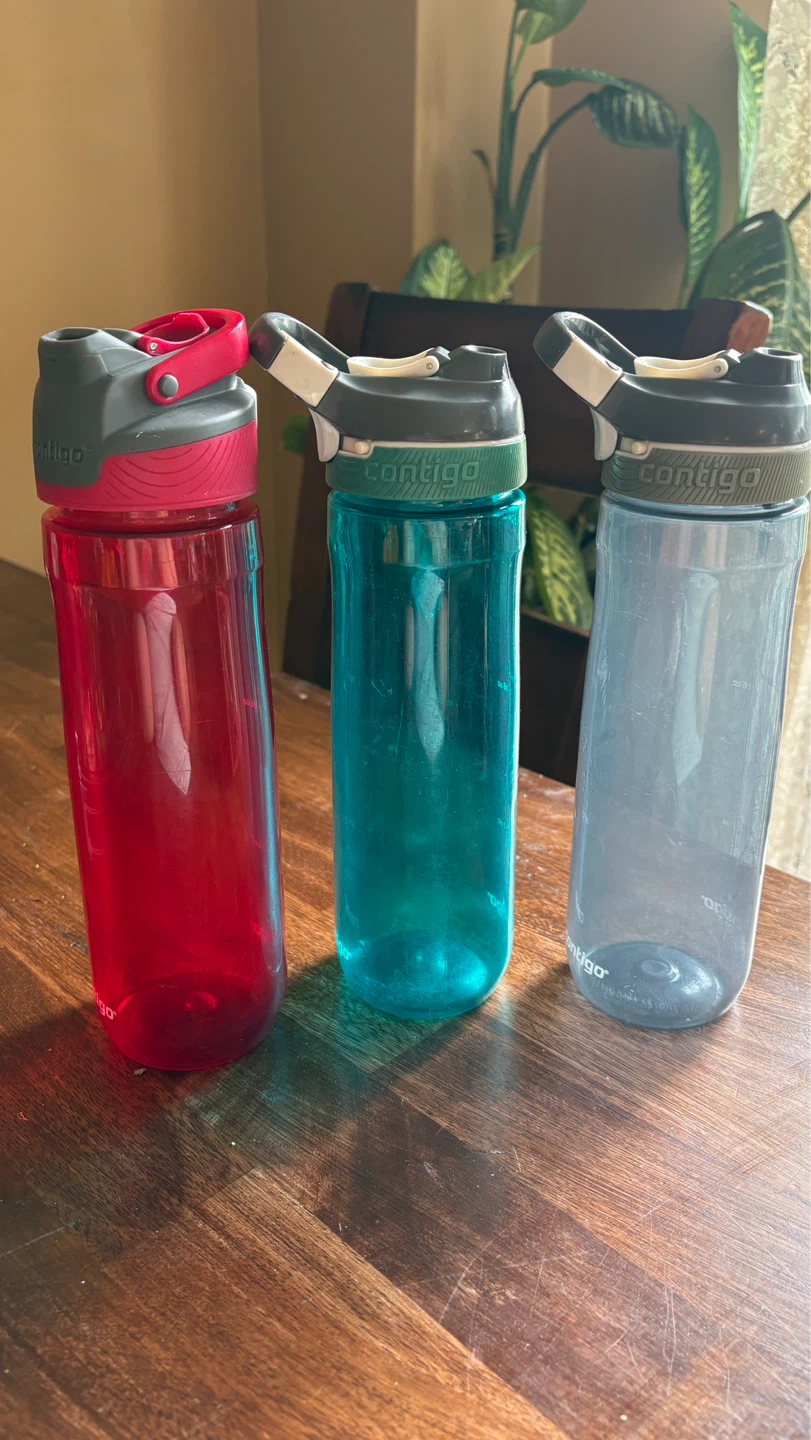 Contigo Water Bottles - Set of 3