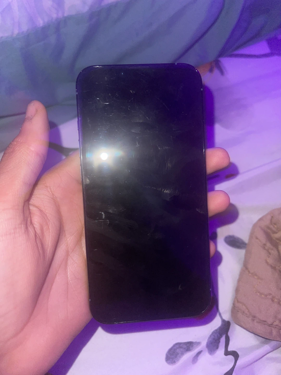 Apple iPhone 13 Pro - photo 2