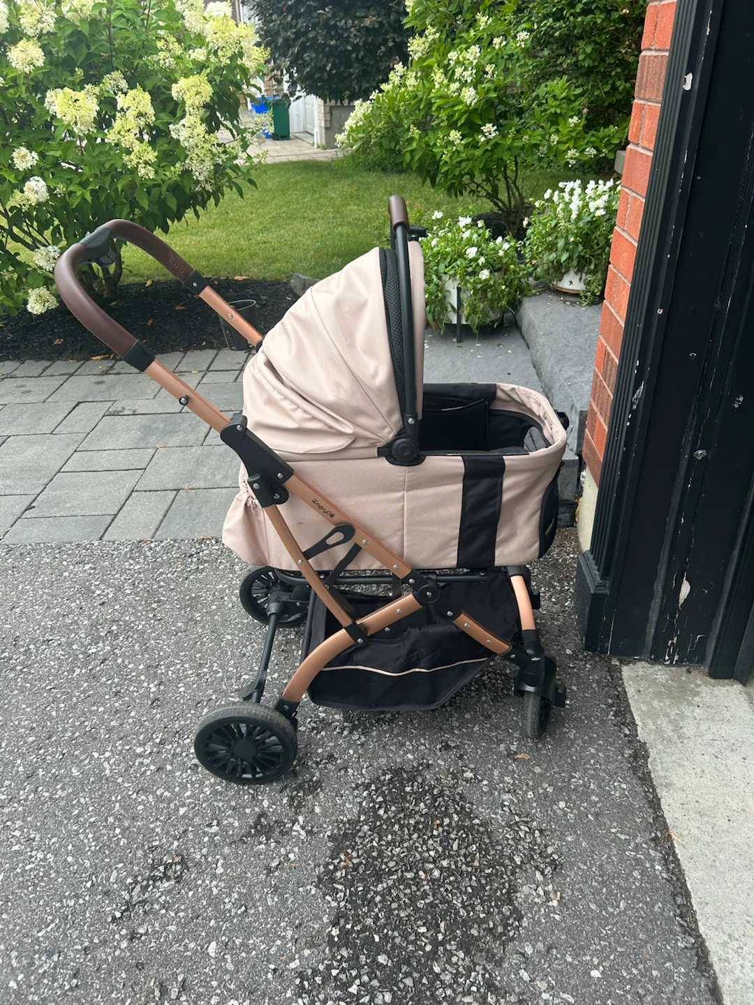 Pet carriage and carrier