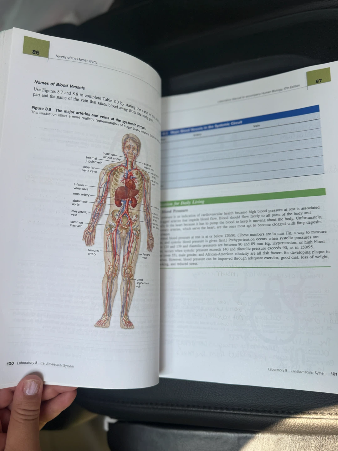 Laboratory Manual Human Biology 17th Edition by Sylvia S. Mader - photo 2