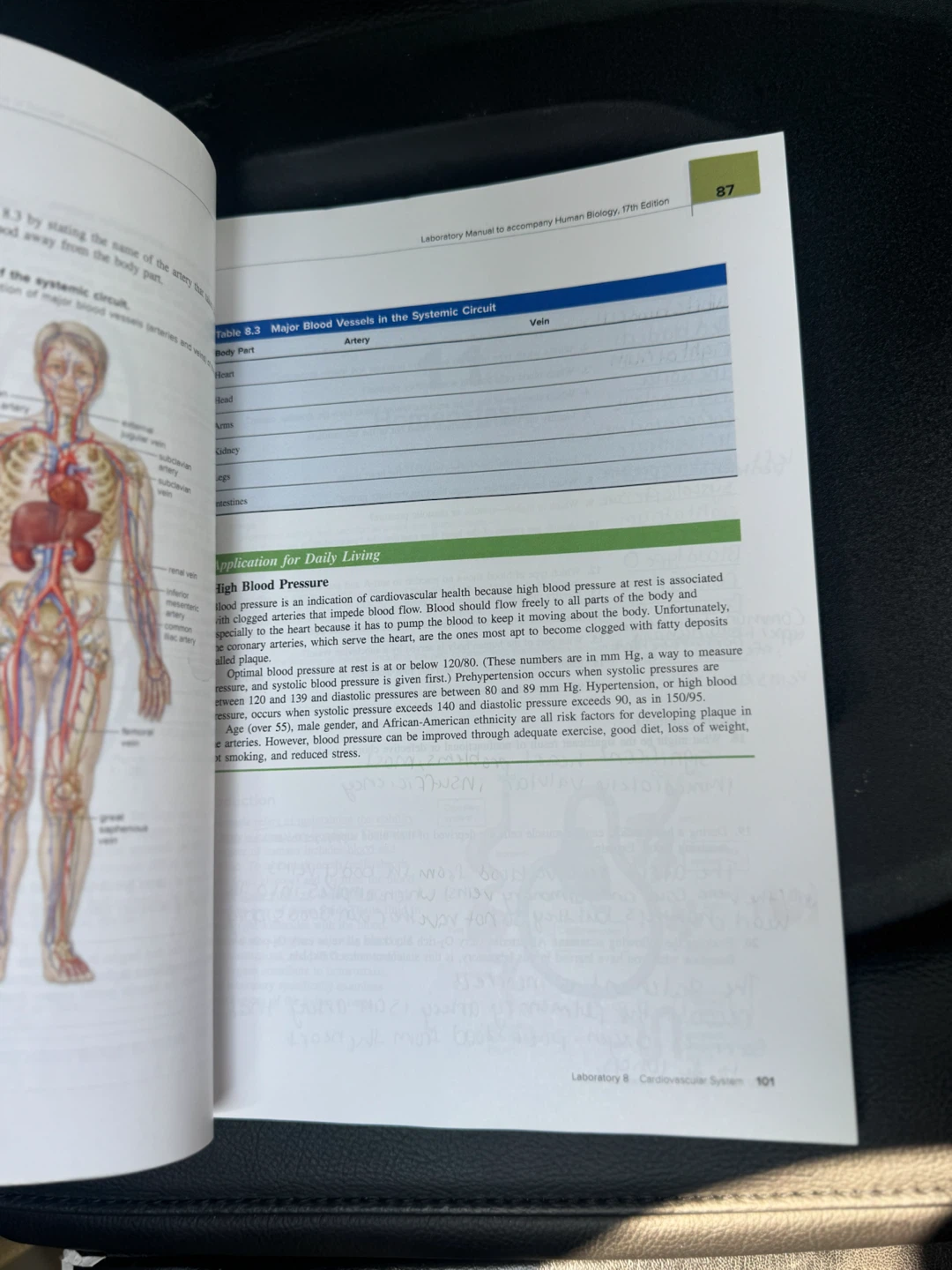 Laboratory Manual Human Biology 17th Edition by Sylvia S. Mader - photo 3